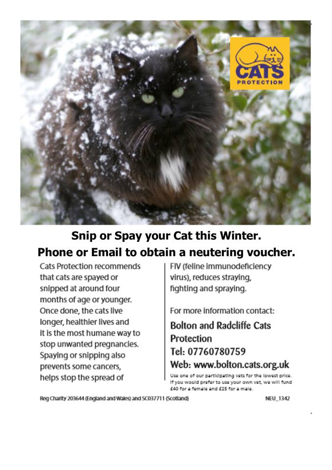 Winter Neutering Campaign